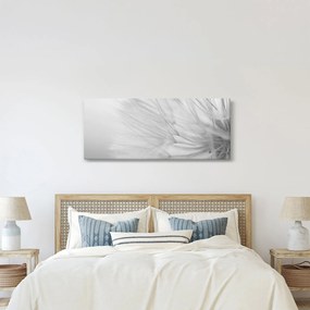 Kép - Pitypang (120x50 cm)