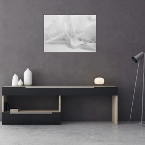 Üveg kép - Tollak (70x50 cm)