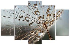 Gario Vászonkép Harmatcseppek és pókháló - 5 részes Méret: 150 x 100 cm