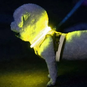 LED-es lámpa nyakörv - állítható Purlov 24200