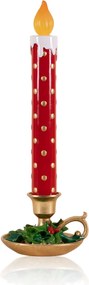 SUS0221