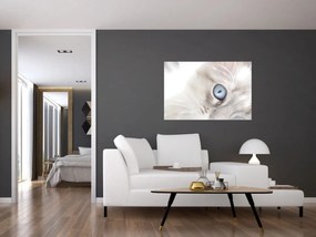 Kép - Kék szemű macska (90x60 cm)