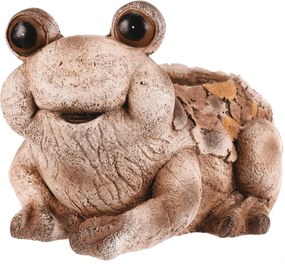 Béka virágtartó, magnézium, fa dekor