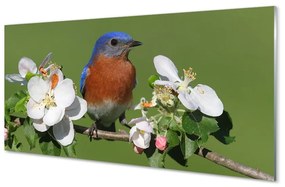 Üvegképek Virág színes papagáj 100x50 cm