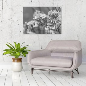Kép - Szárított virágok (70x50 cm)