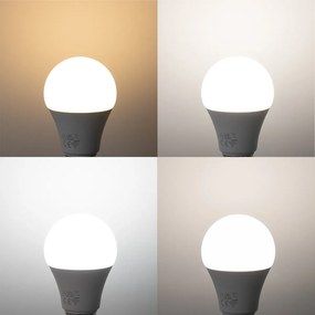 5 db Okos E27 LED izzó A60 Matt RGBW 9W 806lm 2700-6500K