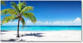 Fotó üvegkép Trópusi tengerpart 140x70