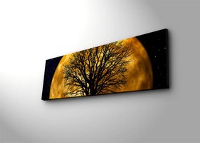 Vászonkép, 30×90 cm – 3090DACT-71