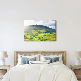 Ültetvények képe (90x60 cm)