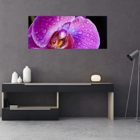 Részletes kép az orchidea virágról (120x50 cm)