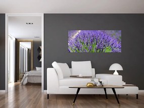 Kép - levandula (120x50 cm)