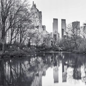 Poszter 50x50cm Központi park Manhattan panoråmåval 4, Assaf Frank