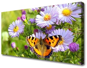 Vászonkép nyomtatás Növény virágok Butterfly Nature 100x50 cm