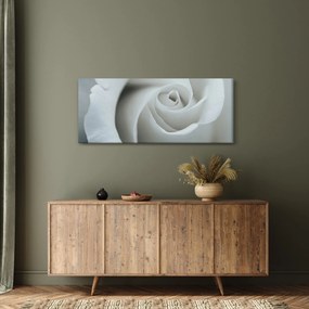 Kép - Fehér rózsa (120x50 cm)