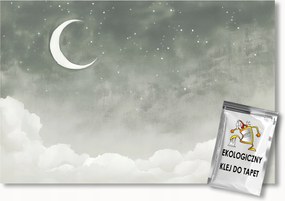 Fotótapéta Flizelina Gyerekek Éjszaka Ég Csillagok Hold Felhők 200x140 ragasztó