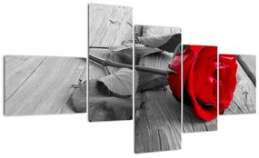 Kép - rózsa, piros virág (150x85cm)