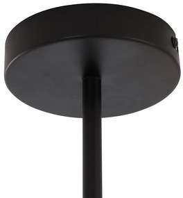 Modern mennyezeti lámpa fekete füstüveggel, 6 ágú - Ryan