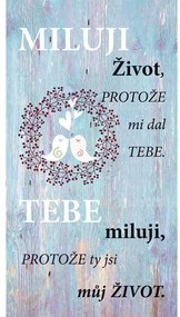 Bohemia Gifts Dekoratív kép Miluji život (Szeretemaz életet), 20 x 40 cm