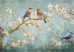 Fotótapéta Flizelin Tapéta Hálószobába és Nappaliba Tavaszi madarak 312x219