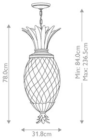 Hinkley HK-PLANT4-P-PL - Csillár láncon PLANTATION 4xE14/40W/230V ezüst
