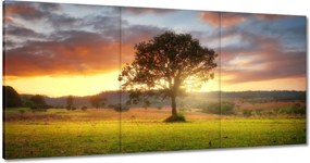 Festmények 180x90 Varázslatos tájkép