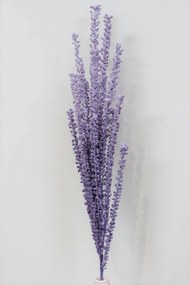 Lila habfű, bogyókkal 80cm