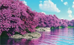 Fotótapéta Virágzó cseresznye és sakura a víz felett harmónia 350x250 +ragasztó