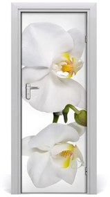 Fotótapéta ajtóra fehér orchidea 75x205 cm