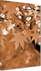 Vászonkép 80x120 Szépia Őszi levelek