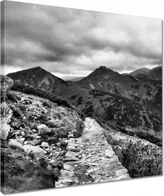 Vászonkép 40x40 Tátra Lengyel hegyek Kilátás