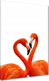 Vászonkép 70x100 Szerelmes pelikánok