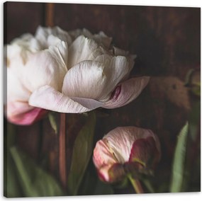 Vászonkép Fehér Virág Természet Vintage Retro 90x90