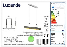 Lucande Lucande - LED Dimmelhető csillár zsinóron LIO 5xLED/5W/230V LW0759