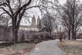 Poszter 30x20cm Ösvény a központi parkon át 2, Assaf Frank