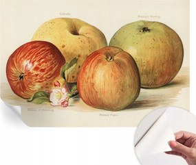 Fotótapéta Dekoratív Fali Tapéta Alma Virágok 104x70