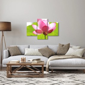 Lótuszvirág kép (90x60 cm)