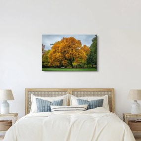 Fa képe (90x60 cm)