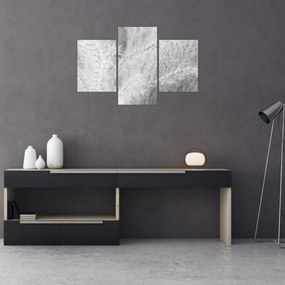 Kép - Pampafű N⁰1 (90x60 cm)