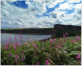 Poszterek 50x40 Lila virágok