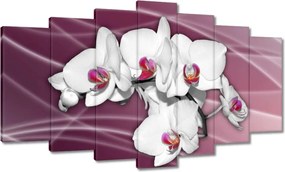 Vászonkép 140x80 Gyönyörű orchidea Virágok