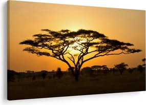 Kép - afrikai szavanna (90x60 cm)