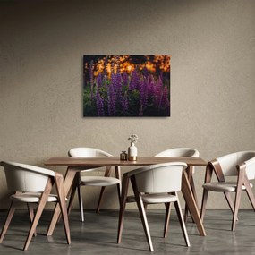 Egy csillagfürt virág képe (üvegen) (70x50 cm)