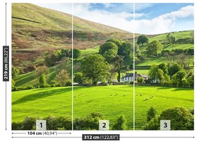 Fotótapéta tavaszi Cumbria 104x70 cm