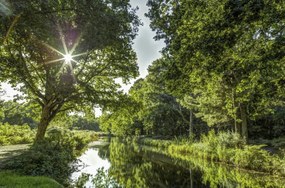 Poszter 86,4x56,8cm Basingstoke csatorna vidéken 2, Assaf Frank