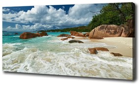 Feszített vászonkép Strand seychelles oc-107860755