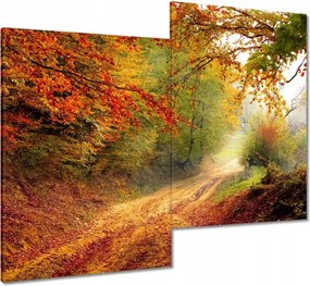 Vászonkép 80x70 Út az erdőben ősz