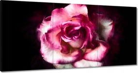 Vászonkép 180x90 Nagyvirágú rózsa Rózsa
