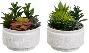 Műnövény szett 2 db-os (magasság 19 cm) Cactus – Casa Selección