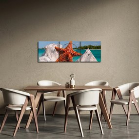Egy tengeri csillag képe (órával) (90x30 cm)