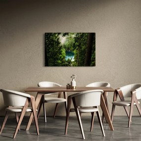 Kép - kilátás a fák között (90x60 cm)